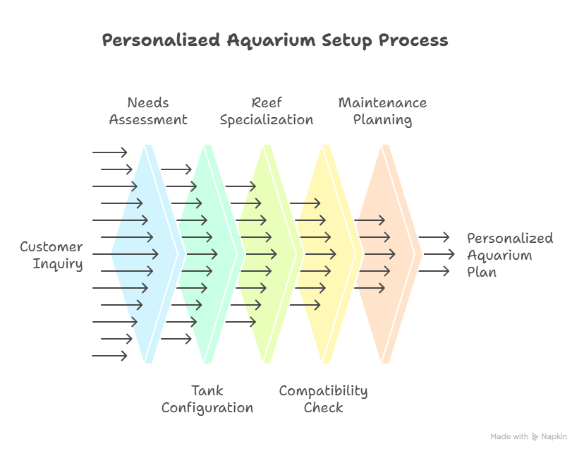 personalized-saltwater-aquarium-setup-process diagram of the personalized saltwater aquarium setup process
